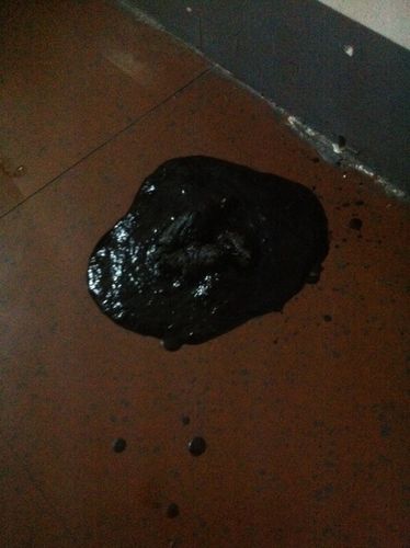 狗狗拉粑粑黑色的怎么回事，狗狗拉粑粑黑色的怎么回事图片？-第2张图片-后鲨宠物