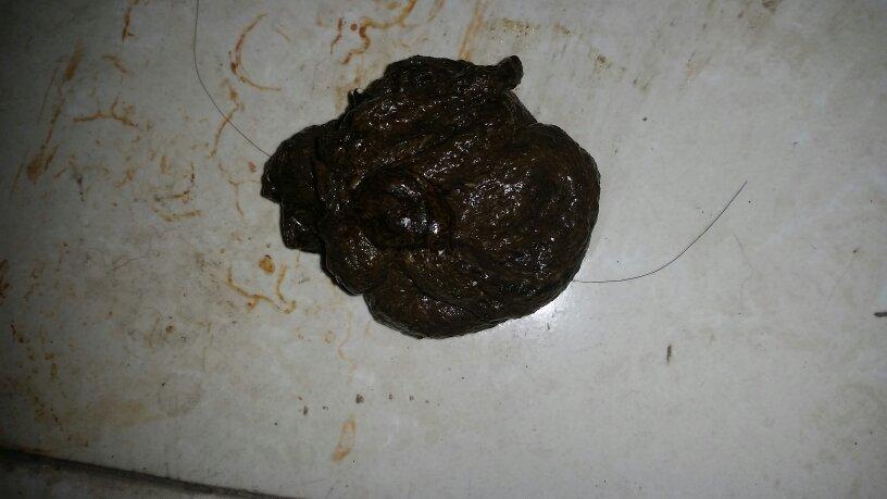 狗狗拉粑粑黑色的怎么回事，狗狗拉粑粑黑色的怎么回事图片？-第3张图片-后鲨宠物