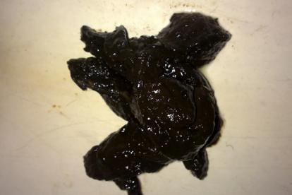 狗狗拉粑粑黑色的怎么回事，狗狗拉粑粑黑色的怎么回事图片？-第5张图片-后鲨宠物