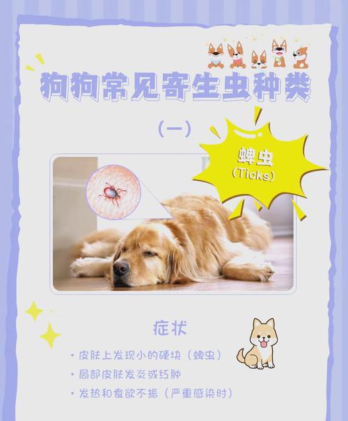 狗狗感染寄生虫的症状_狗狗感染寄生虫吃什么药好-第5张图片-后鲨宠物 狗狗感染寄生虫的症状_狗狗感染寄生虫吃什么药好-第5张图片-后鲨宠物
