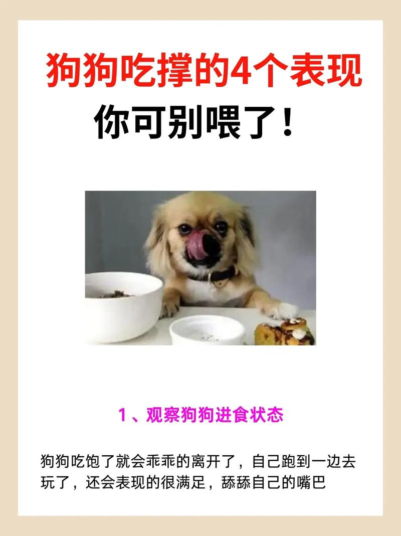 狗狗吃撑了症状_狗狗吃撑了症状会加重吗-第1张图片-后鲨宠物