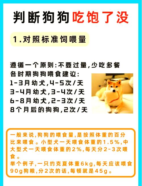 狗狗吃撑了症状_狗狗吃撑了症状会加重吗-第3张图片-后鲨宠物