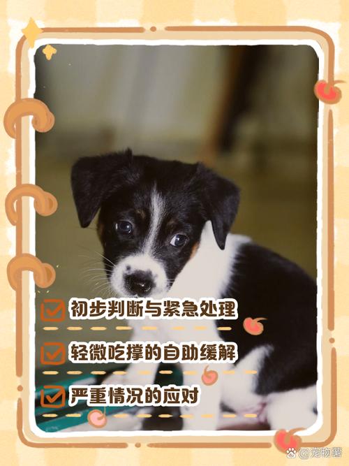 狗狗吃撑了症状_狗狗吃撑了症状会加重吗-第4张图片-后鲨宠物