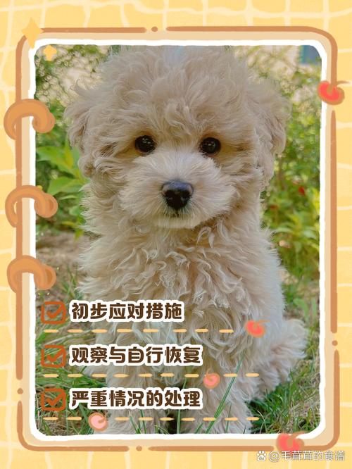 狗狗吃撑了症状_狗狗吃撑了症状会加重吗-第5张图片-后鲨宠物