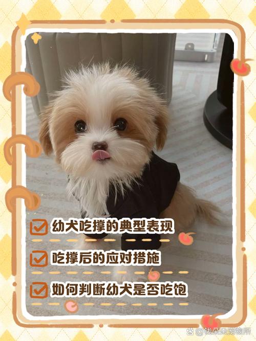 狗狗吃撑了症状_狗狗吃撑了症状会加重吗-第6张图片-后鲨宠物