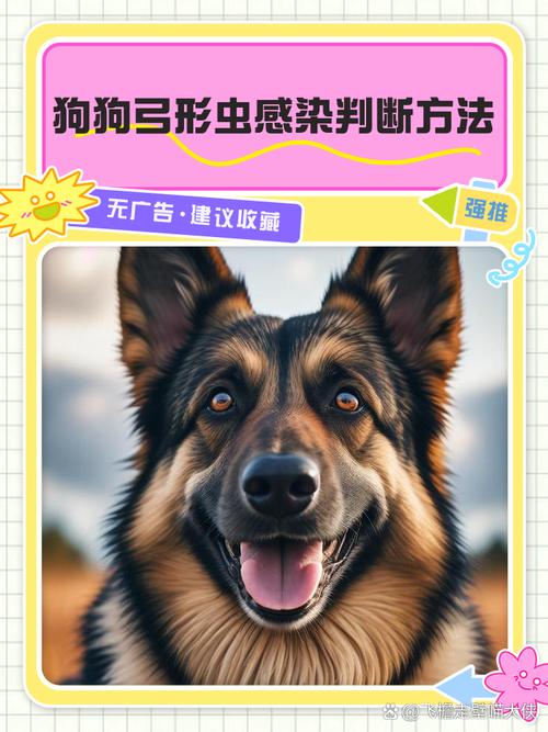 狗狗会有弓形虫吗,狗狗会有弓形虫吗图片-第3张图片-后鲨宠物 狗狗会有弓形虫吗,狗狗会有弓形虫吗图片-第3张图片-后鲨宠物