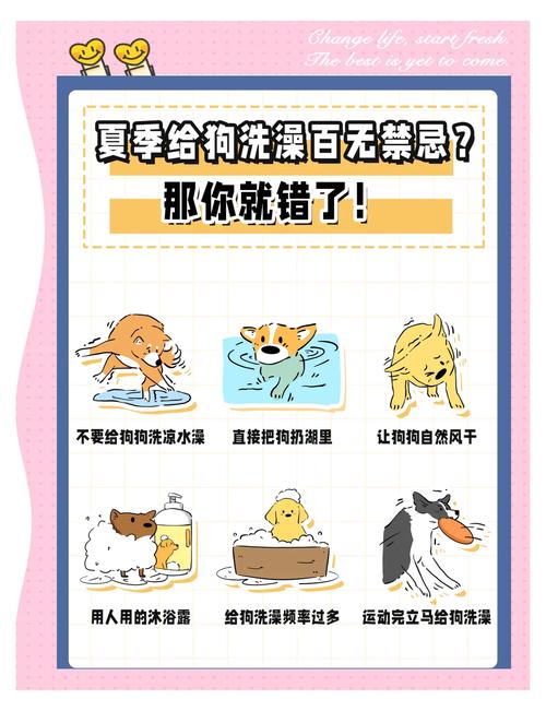 小狗狗洗澡注意事项,狗狗洗澡的注意事项,教你怎么给小狗洗澡?-第1张图片-后鲨宠物 小狗狗洗澡注意事项,狗狗洗澡的注意事项,教你怎么给小狗洗澡?-第1张图片-后鲨宠物