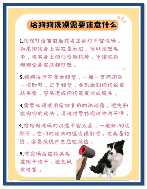 小狗狗洗澡注意事项,狗狗洗澡的注意事项,教你怎么给小狗洗澡?-第5张图片-后鲨宠物 小狗狗洗澡注意事项,狗狗洗澡的注意事项,教你怎么给小狗洗澡?-第5张图片-后鲨宠物