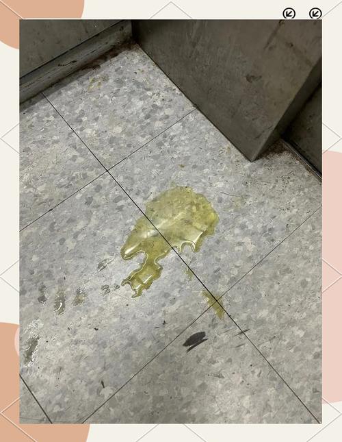 狗狗的尿很黄怎么办,狗狗尿很黄什么原因?-第2张图片-后鲨宠物 狗狗的尿很黄怎么办,狗狗尿很黄什么原因?-第2张图片-后鲨宠物