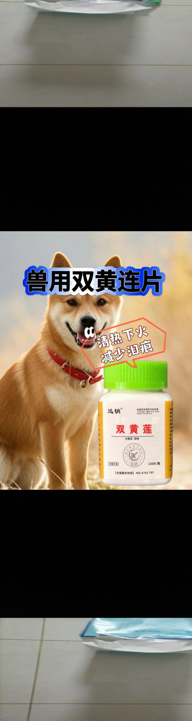 狗狗的尿很黄怎么办,狗狗尿很黄什么原因?-第4张图片-后鲨宠物 狗狗的尿很黄怎么办,狗狗尿很黄什么原因?-第4张图片-后鲨宠物