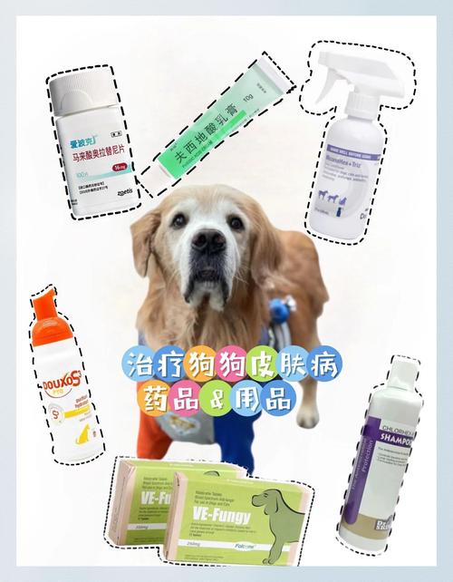 狗狗身上痒怎么办用什么药_狗狗身上痒我身上也痒怎么办-第5张图片-后鲨宠物 狗狗身上痒怎么办用什么药_狗狗身上痒我身上也痒怎么办-第5张图片-后鲨宠物