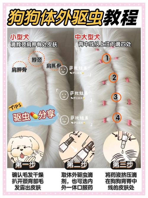 狗狗驱虫可以洗澡吗_狗狗驱虫可以洗澡吗?-第3张图片-后鲨宠物 狗狗驱虫可以洗澡吗_狗狗驱虫可以洗澡吗?-第3张图片-后鲨宠物