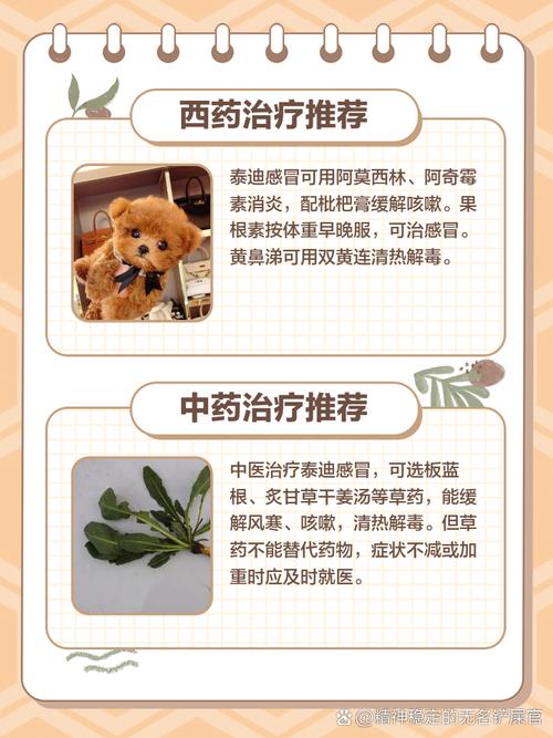 狗狗感冒能吹空调吗_狗狗感冒了可以开窗通风吗-第1张图片-后鲨宠物 狗狗感冒能吹空调吗_狗狗感冒了可以开窗通风吗-第1张图片-后鲨宠物