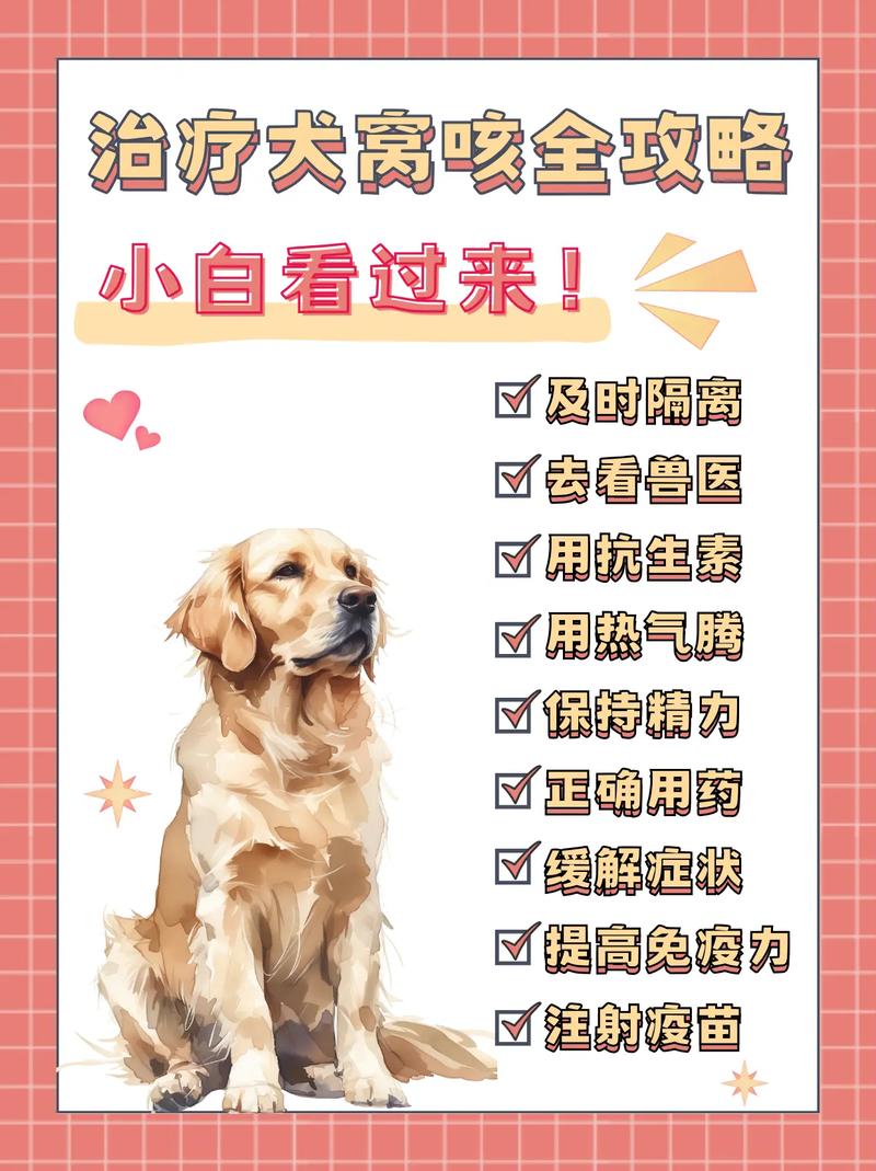 狗狗咳嗽怎么办_狗狗咳嗽怎么办?吃什么药?要吃多少?-第2张图片-后鲨宠物 狗狗咳嗽怎么办_狗狗咳嗽怎么办?吃什么药?要吃多少?-第2张图片-后鲨宠物