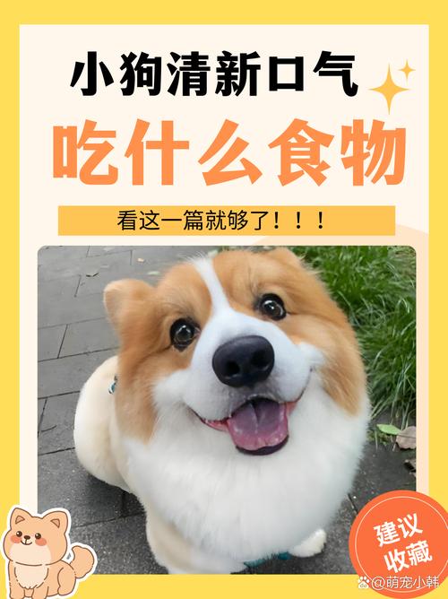 狗狗口臭吃什么，狗狗口臭吃什么药效果比较好？-第1张图片-后鲨宠物