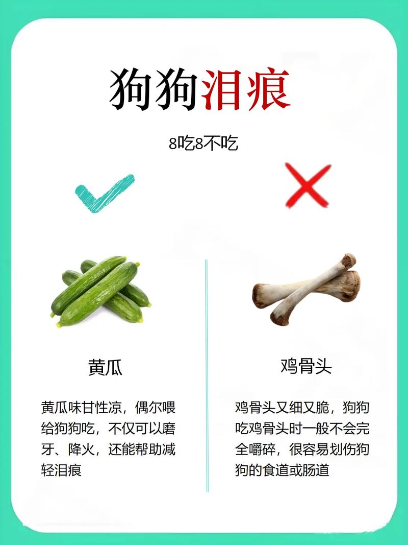狗狗口臭吃什么，狗狗口臭吃什么药效果比较好？-第6张图片-后鲨宠物