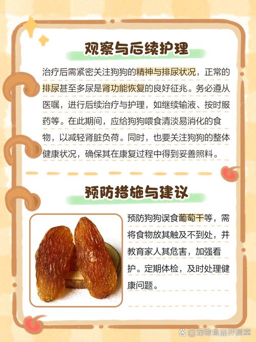 狗狗吃葡萄干如何补救,狗吃葡萄干会有什么反应-第2张图片-后鲨宠物 狗狗吃葡萄干如何补救,狗吃葡萄干会有什么反应-第2张图片-后鲨宠物