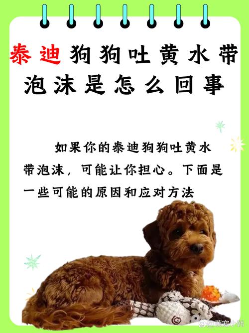 狗狗拉稀吐黄水怎么办_狗拉稀吐黄水还能喂吃的吗-第2张图片-后鲨宠物 狗狗拉稀吐黄水怎么办_狗拉稀吐黄水还能喂吃的吗-第2张图片-后鲨宠物