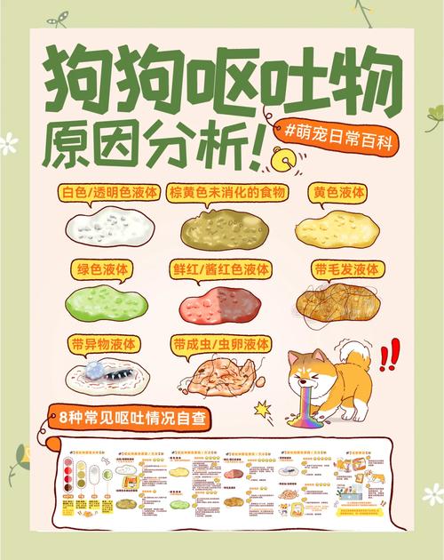 狗狗不消化呕吐怎么办,狗狗消化不良想吐又吐不出来怎么办-第2张图片-后鲨宠物 狗狗不消化呕吐怎么办,狗狗消化不良想吐又吐不出来怎么办-第2张图片-后鲨宠物