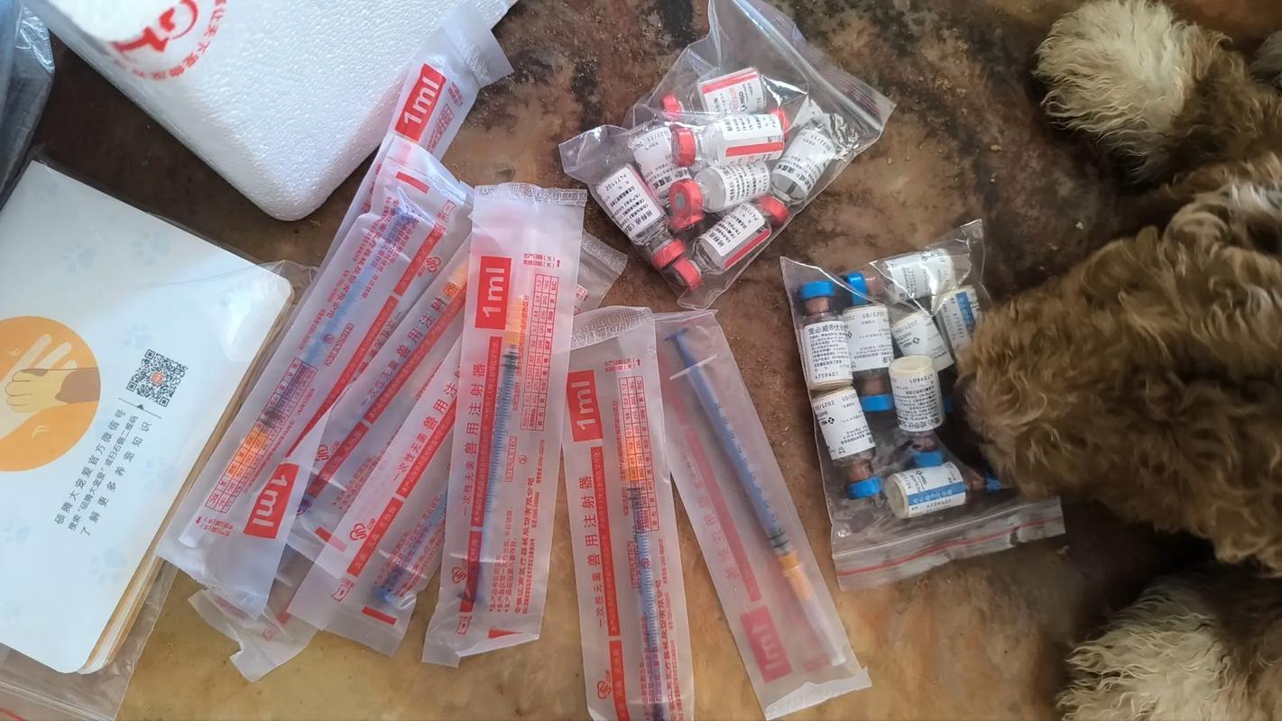  狗狗第二针疫苗是什么，狗狗第二针疫苗是什么疫苗-第2张图片-后鲨宠物