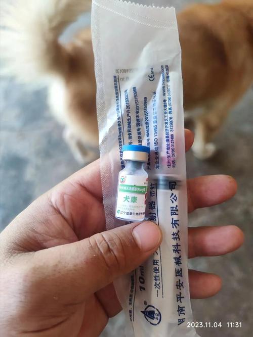  狗狗第二针疫苗是什么，狗狗第二针疫苗是什么疫苗-第5张图片-后鲨宠物