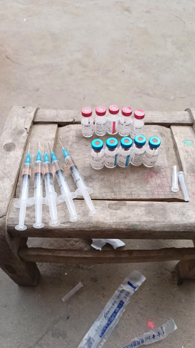  狗狗第二针疫苗是什么，狗狗第二针疫苗是什么疫苗-第6张图片-后鲨宠物