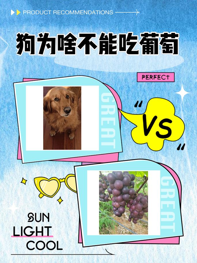 狗狗吃了葡萄会怎么样_狗狗吃了葡萄的症状-第2张图片-后鲨宠物 狗狗吃了葡萄会怎么样_狗狗吃了葡萄的症状-第2张图片-后鲨宠物