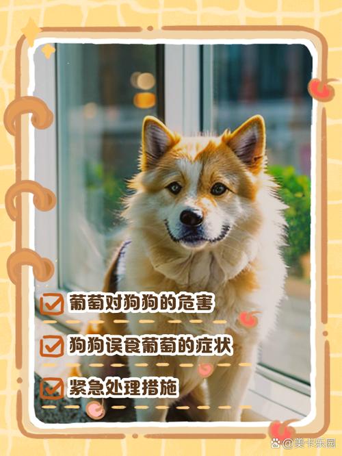 狗狗吃了葡萄会怎么样_狗狗吃了葡萄的症状-第4张图片-后鲨宠物 狗狗吃了葡萄会怎么样_狗狗吃了葡萄的症状-第4张图片-后鲨宠物