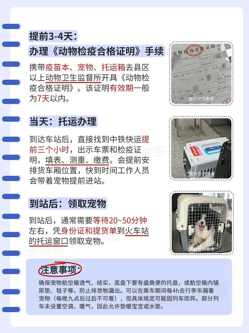 狗狗上火车要什么手续_狗狗上火车要什么手续和证件-第3张图片-后鲨宠物 狗狗上火车要什么手续_狗狗上火车要什么手续和证件-第3张图片-后鲨宠物