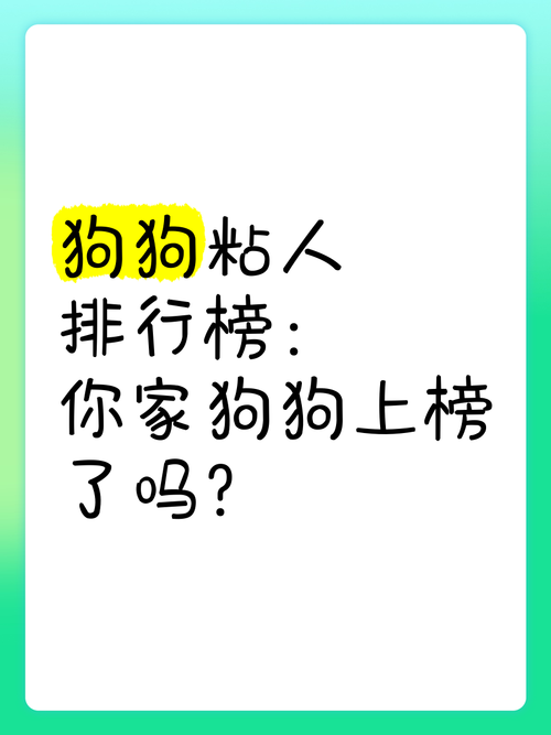 什么狗狗最粘人,哪个狗狗最粘人-第2张图片-后鲨宠物 什么狗狗最粘人,哪个狗狗最粘人-第2张图片-后鲨宠物