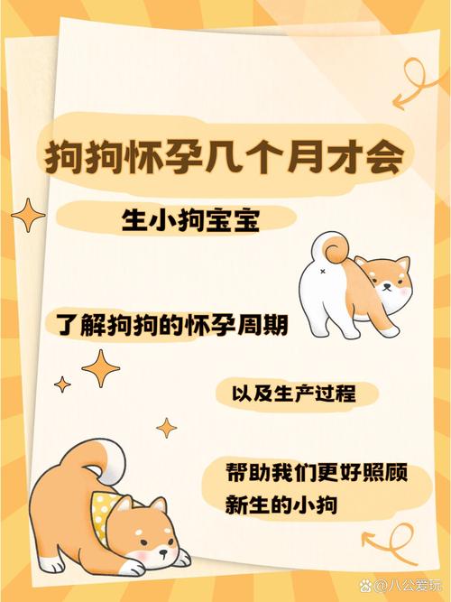 狗狗多久可以生宝宝,狗狗多久生宝宝不是早产-第1张图片-后鲨宠物 狗狗多久可以生宝宝,狗狗多久生宝宝不是早产-第1张图片-后鲨宠物