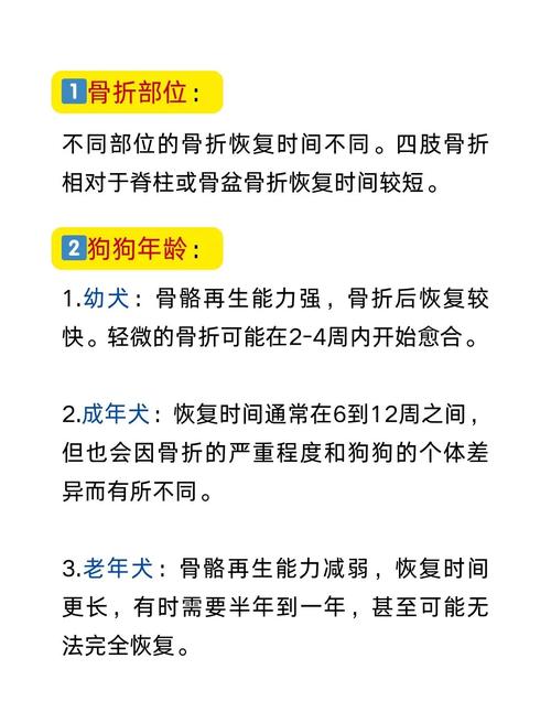 狗狗骨折多久能好_狗狗骨折多久能彻底好-第1张图片-后鲨宠物 狗狗骨折多久能好_狗狗骨折多久能彻底好-第1张图片-后鲨宠物