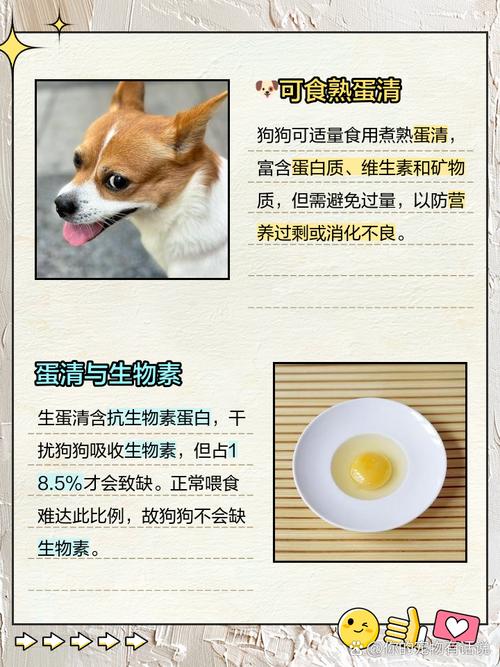 狗狗不能吃蛋清吗_狗狗不能吃蛋清么-第1张图片-后鲨宠物 狗狗不能吃蛋清吗_狗狗不能吃蛋清么-第1张图片-后鲨宠物