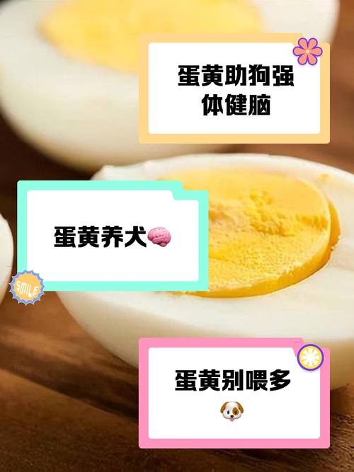 狗狗不能吃蛋清吗_狗狗不能吃蛋清么-第4张图片-后鲨宠物 狗狗不能吃蛋清吗_狗狗不能吃蛋清么-第4张图片-后鲨宠物