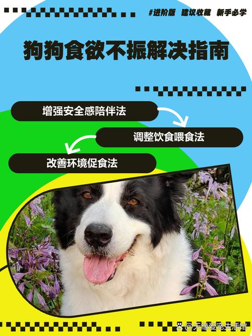 狗狗没食欲怎么办_狗狗不吃不喝一招解决-第3张图片-后鲨宠物 狗狗没食欲怎么办_狗狗不吃不喝一招解决-第3张图片-后鲨宠物