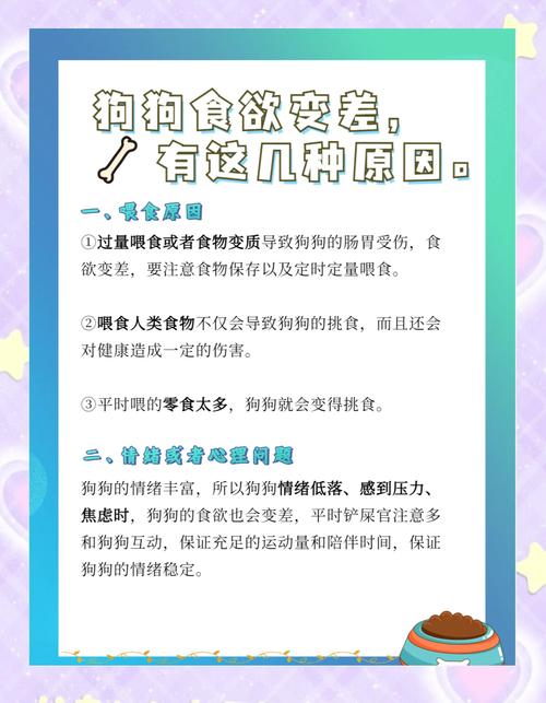 狗狗没食欲怎么办_狗狗不吃不喝一招解决-第6张图片-后鲨宠物 狗狗没食欲怎么办_狗狗不吃不喝一招解决-第6张图片-后鲨宠物