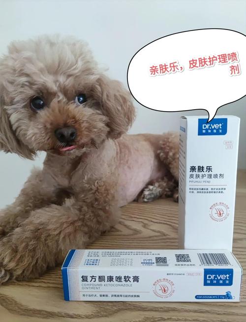 狗狗皮屑多用什么药_狗狗皮屑怎么治疗是大病吗-第2张图片-后鲨宠物 狗狗皮屑多用什么药_狗狗皮屑怎么治疗是大病吗-第2张图片-后鲨宠物