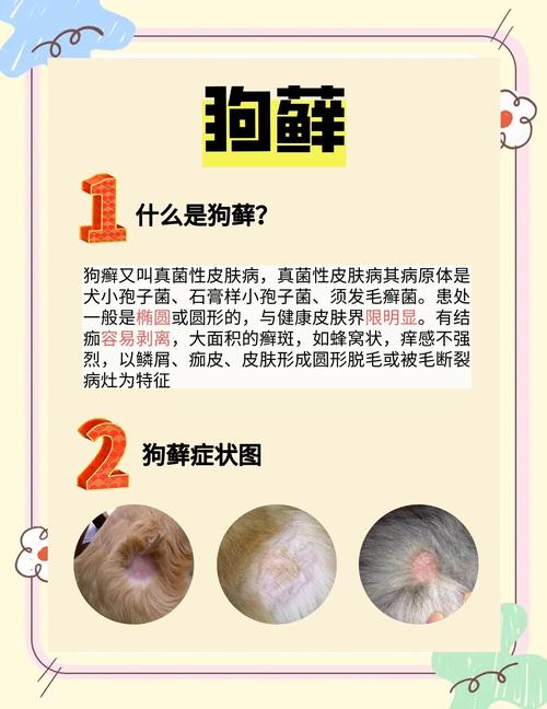 狗狗皮屑多用什么药_狗狗皮屑怎么治疗是大病吗-第4张图片-后鲨宠物 狗狗皮屑多用什么药_狗狗皮屑怎么治疗是大病吗-第4张图片-后鲨宠物