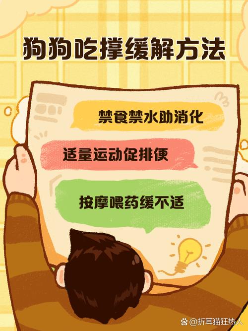 狗狗撑到了怎么办,狗撑到了不愿动一直叫怎么办-第2张图片-后鲨宠物 狗狗撑到了怎么办,狗撑到了不愿动一直叫怎么办-第2张图片-后鲨宠物