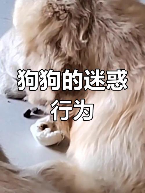 狗狗能吃绿豆沙吗,狗狗能吃绿豆沙吗??-第6张图片-后鲨宠物 狗狗能吃绿豆沙吗,狗狗能吃绿豆沙吗??-第6张图片-后鲨宠物