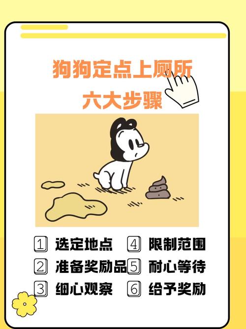 如何训练狗狗定点上厕所,怎么训练狗狗定点小便-第6张图片-后鲨宠物 如何训练狗狗定点上厕所,怎么训练狗狗定点小便-第6张图片-后鲨宠物