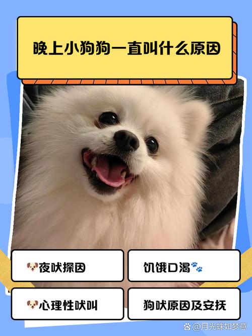 狗狗乱叫是什么原因,狗狗乱叫是什么情况?宠物狗也这样吗?-第6张图片-后鲨宠物 狗狗乱叫是什么原因,狗狗乱叫是什么情况?宠物狗也这样吗?-第6张图片-后鲨宠物