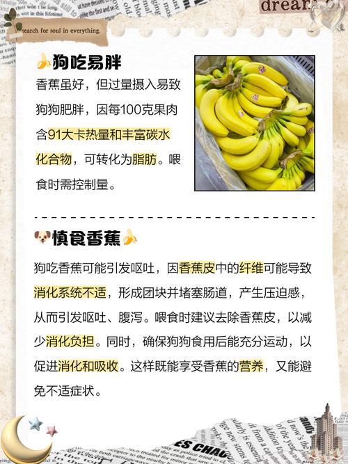 小狗狗可以吃香蕉吗,小狗子能不能吃香蕉-第3张图片-后鲨宠物 小狗狗可以吃香蕉吗,小狗子能不能吃香蕉-第3张图片-后鲨宠物