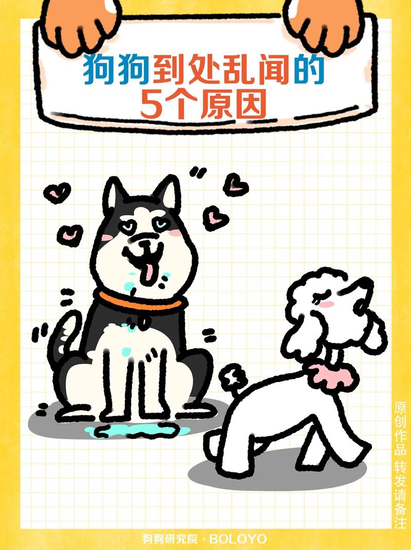 狗狗到处嗅是什么原因,狗狗到处嗅需不需要阻止-第3张图片-后鲨宠物 狗狗到处嗅是什么原因,狗狗到处嗅需不需要阻止-第3张图片-后鲨宠物