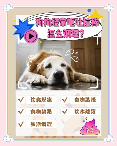 狗狗不吃饭拉稀怎么回事_狗狗不吃饭拉稀怎么办-第5张图片-后鲨宠物 狗狗不吃饭拉稀怎么回事_狗狗不吃饭拉稀怎么办-第5张图片-后鲨宠物