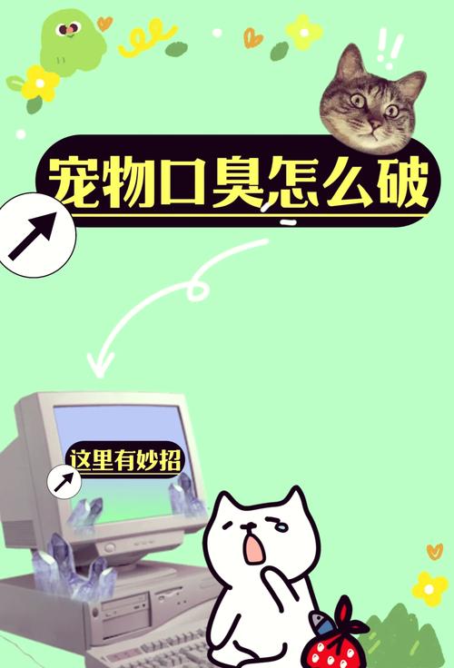 泰迪狗狗嘴巴臭怎么办_泰迪狗嘴特别臭怎么办-第4张图片-后鲨宠物 泰迪狗狗嘴巴臭怎么办_泰迪狗嘴特别臭怎么办-第4张图片-后鲨宠物