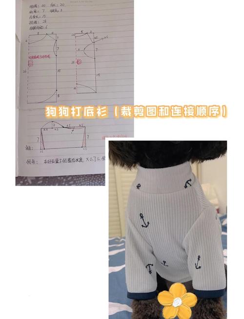  怎么给狗狗做衣服，如何给狗狗制作衣服-第6张图片-后鲨宠物