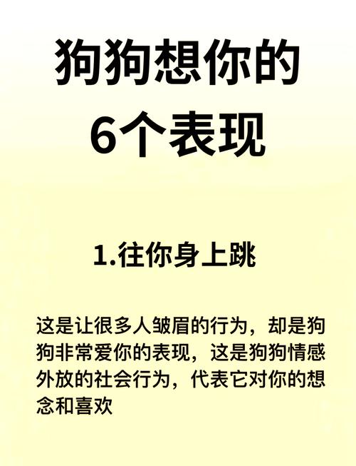 狗狗会想念主人吗,狗狗会想念自己的主人吗?-第3张图片-后鲨宠物 狗狗会想念主人吗,狗狗会想念自己的主人吗?-第3张图片-后鲨宠物