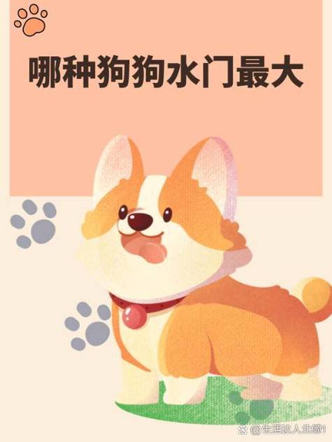 最大的狗狗是什么品种,最大的狗狗排名-第5张图片-后鲨宠物 最大的狗狗是什么品种,最大的狗狗排名-第5张图片-后鲨宠物