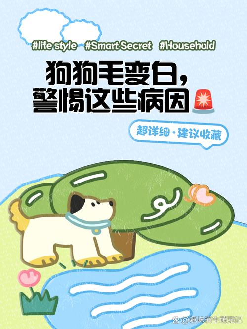 狗狗毛色变白为什么,狗狗毛色变白怎样恢复?-第3张图片-后鲨宠物 狗狗毛色变白为什么,狗狗毛色变白怎样恢复?-第3张图片-后鲨宠物